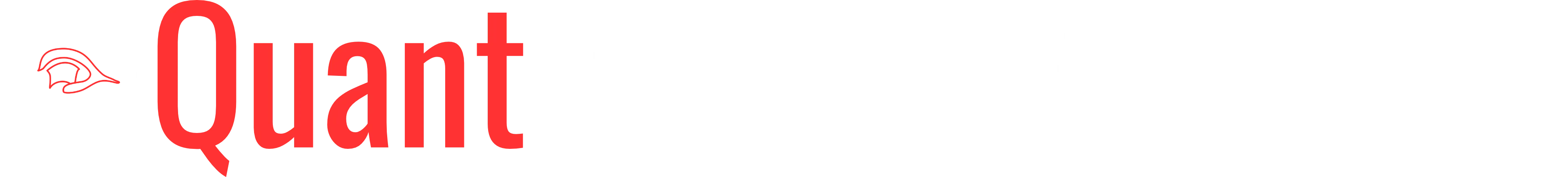 The Logo for the QuantBrain - Ventricle software.